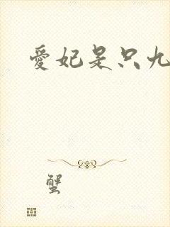 爱妃是只九尾猫