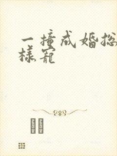 一撞成婚总裁花样宠