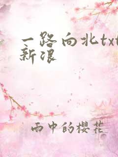 一路向北txt新浪