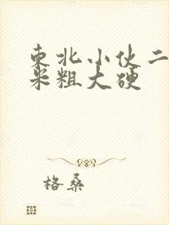 东北小伙二十厘米粗大硬