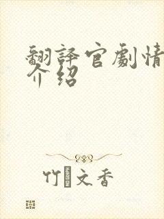 翻译官剧情分集介绍