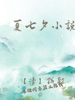 夏七夕小说