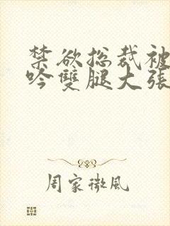 禁欲总裁被C呻吟双腿大张