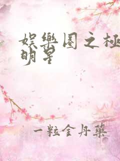 娱乐圈之极品大明星