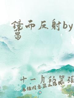 镜面反射by九葛