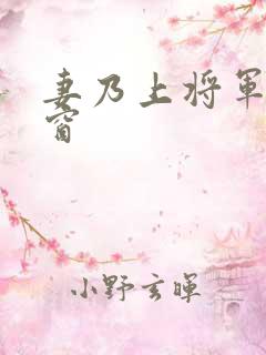 妻乃上将军无弹窗