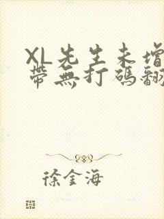 XL先生未增删带无打码翻译