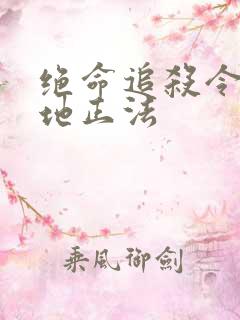 绝命追杀令2就地正法