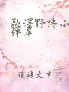 欧泽野佟小曼无弹屏