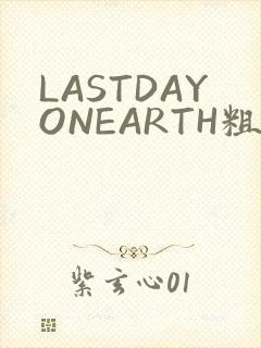 LASTDAYONEARTH粗暴
