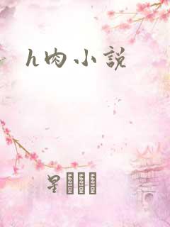 h肉小说