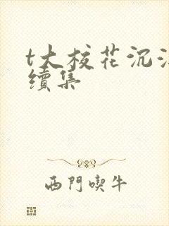 t大校花沉浮录续集