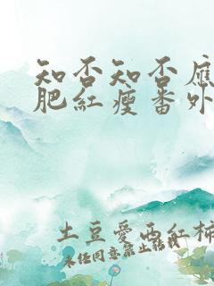 知否知否应是绿肥红瘦番外