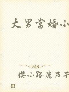 大男当婚小说