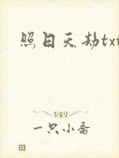 照日天劫txt