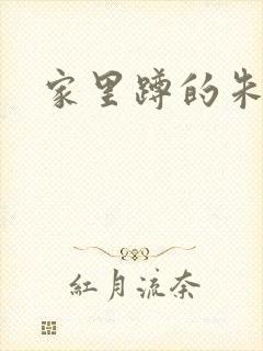 家里蹲的朱教授