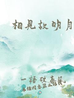 相见故明月