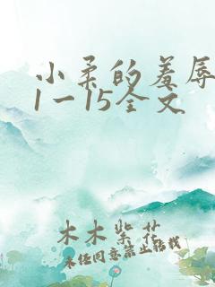 小柔的羞辱日记1一15全文