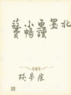 苏小鱼墨北枭免费畅读