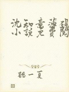 沈知意薄砚霆的小说免费阅读