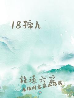 18号h