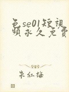 色se01短视频永久免费
