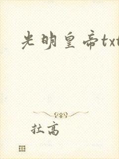 光明皇帝txt