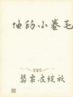 他的小卷毛