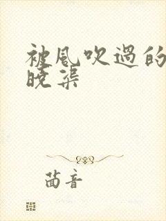 被风吹过的夏天晓渠