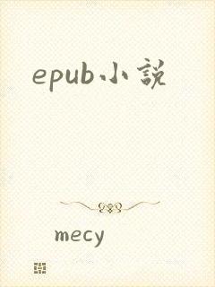 epub小说