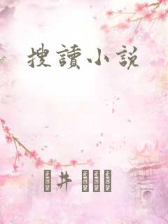 搜读小说