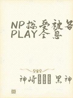 NP总受被各种PLAY全息