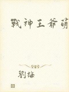 战神王爷萌虎妃