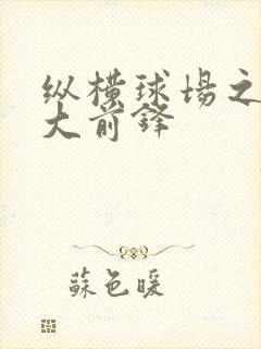 纵横球场之暴力大前锋