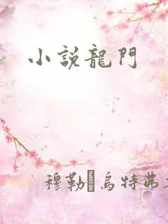 小说龙门