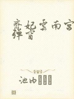 齐妃云南宫夜无弹窗