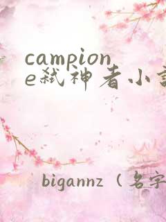 campione弑神者小说