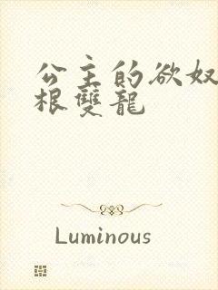 公主的欲奴h四根双龙