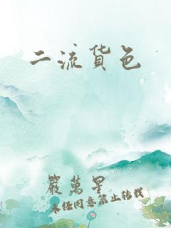 二流货色