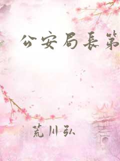 公安局长第四部