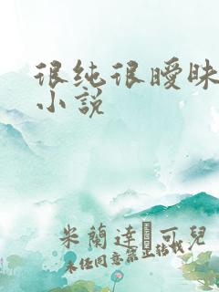 很纯很暧昧有声小说