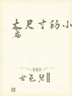 大尺寸的小说短篇