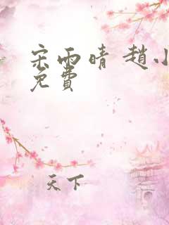 宋雨晴 赵小刚免费