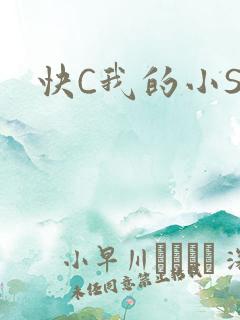 快C我的小SB