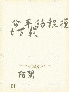 公平的报复txt下载