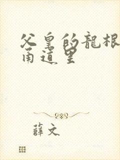 父皇的龙根在我甬道里