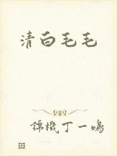 清白毛毛