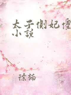 太子侧妃傻乎乎小说