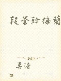 段誉干梅兰竹菊