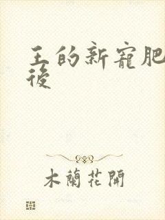 王的新宠肥婆皇后